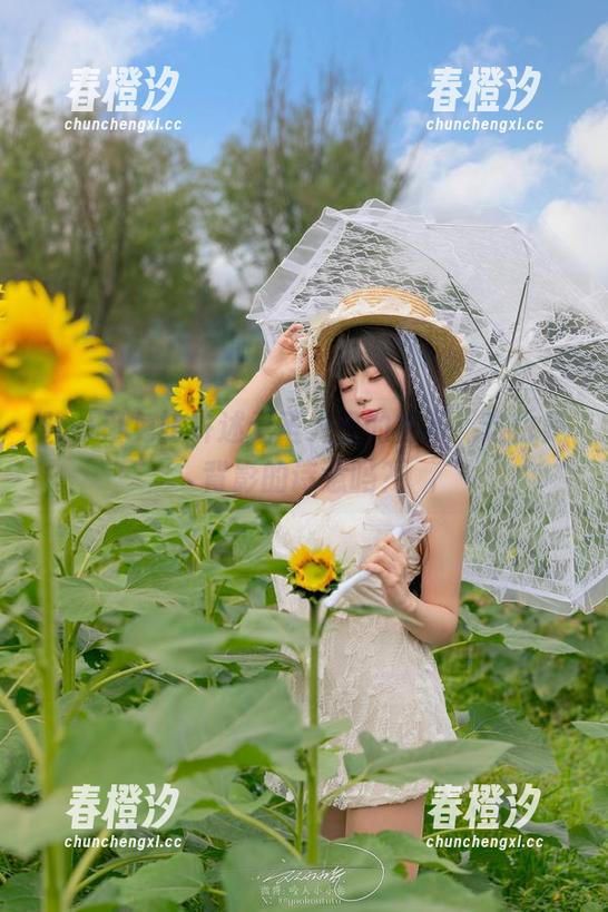 咬一口兔娘 咬一口兔娘讲述无圣光里的格温,这也是背影的诗意吗?