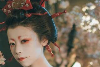 奈汐酱Nice猫猫美图合集，眼花缭乱，看到我真想给它们送个“点心”！
