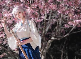 清青琴玖的碎花梦——全集不怕你打瞌睡