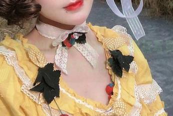 阿包也是兔娘的网盘之旅——网袜写真开启你的想象