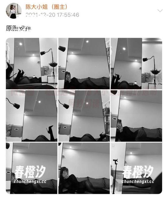 陈大小姐 微密圈 - 私拍透视:陈大小姐独特的透明网纱解读