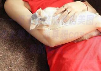 青豆客 - 一组王婉悠的私房美图，海边背景看起来太绝了，我真想cos一把她那轻松的姿态。